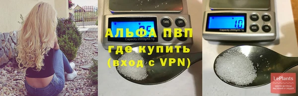 стафф Гусев