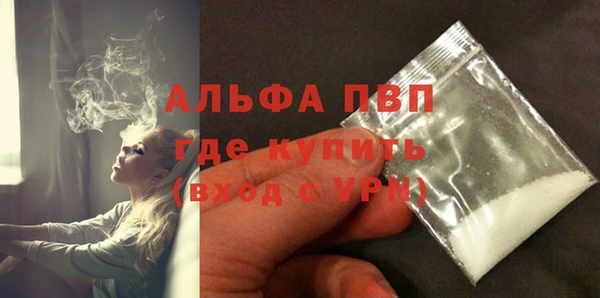 стафф Гусев