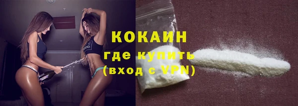 spice Сясьстрой
