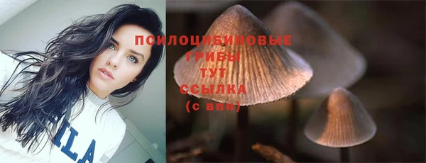 стафф Гусев