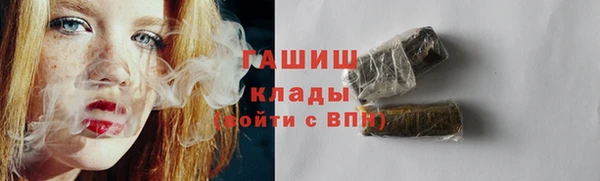 стафф Гусев