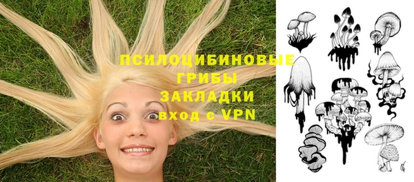 стафф Гусев