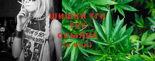 кристаллы Гусь-Хрустальный