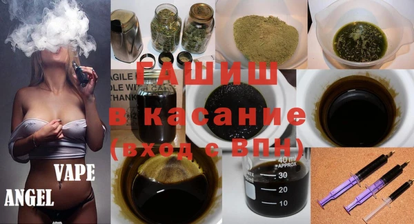 стафф Гусев