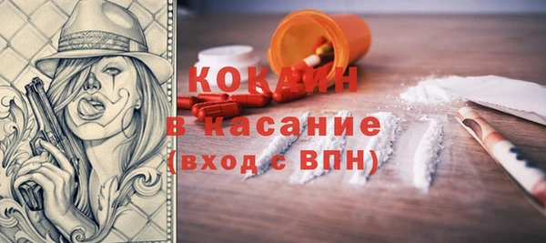 стафф Гусев