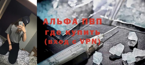 стафф Гусев