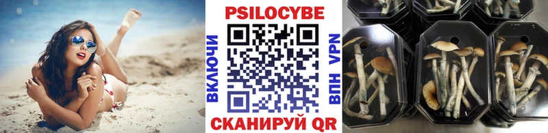 Псилоцибиновые грибы мухоморы  где купить наркоту  Горнозаводск 
